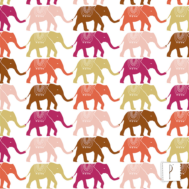Elefantes Coloridos